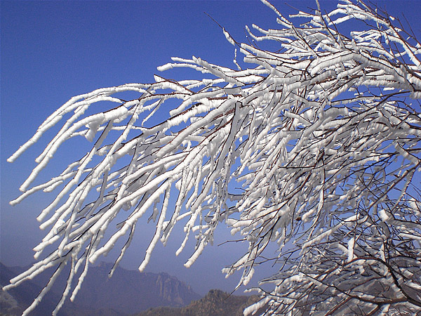 灵山：喜迎冬日初雪　　据说每年降临北京的雪最先到达的地方往往是这里，看雪心切的朋友们可以留心天气预报，如果北京全范围降了雪，那么灵山的雪肯定是最大的。灵山在每年10月到来年的4月都要封山。但是你完全可以不登山，只去看那沿途茫茫的雪色就足够了。