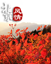 組圖:北京新推14個"賞紅"景點 哪一處最合你心意？
