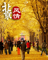 紅黃藍白紫……北京最適合賞秋“八大處”
