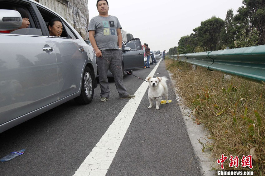 国庆高速免费首日再现大堵车 高速公路又成"停车场"