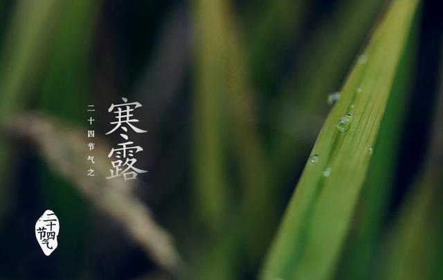 今日寒露需保暖 夜晚温度再降勿须"秋冻"