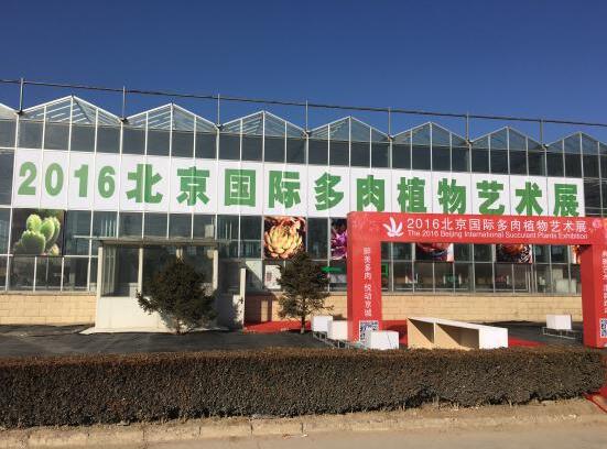 北京首届国际多肉植物艺术展开幕(图1)