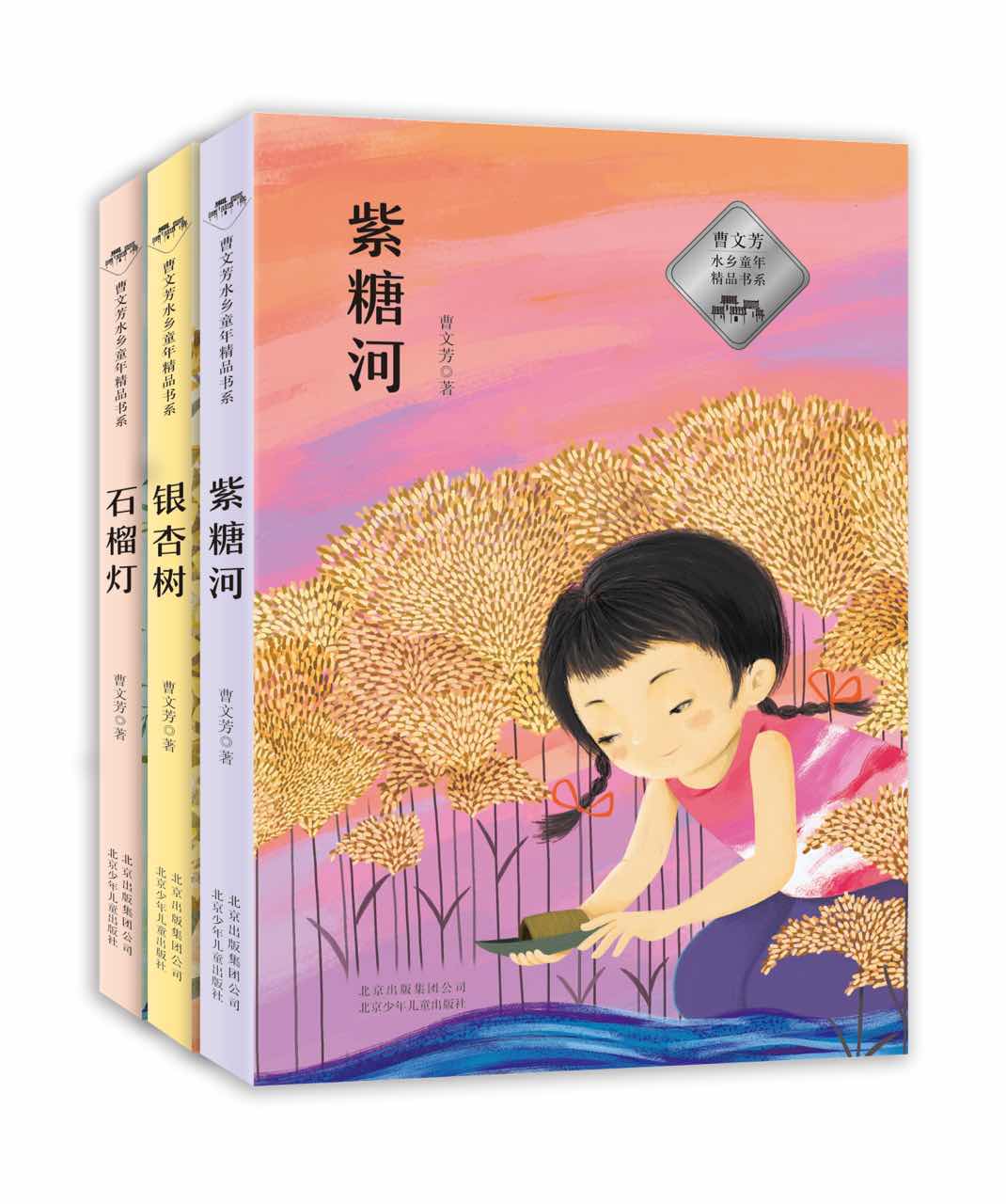 回望文学的故乡:曹文芳水乡童年精品书系研讨