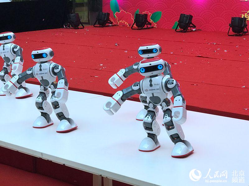 在海淀新春文化季启动仪式的文艺演出中，机器人组团为大家表演了《中国功夫》，引得观众掌声不断。人民网董兆瑞 摄
