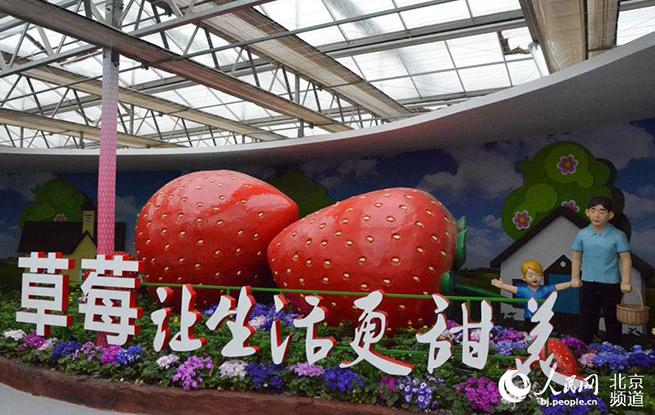 组图：第六届北京农业嘉年华在昌平开幕