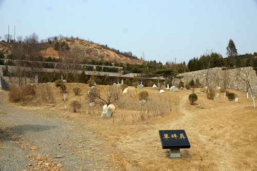 北京门头沟浅山墓地变生态“公园”远观“不见碑只见绿”