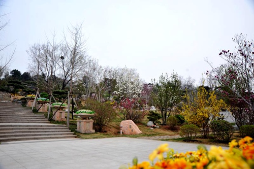 八宝山革命公墓打造生态墓园绿化覆盖率高达95%