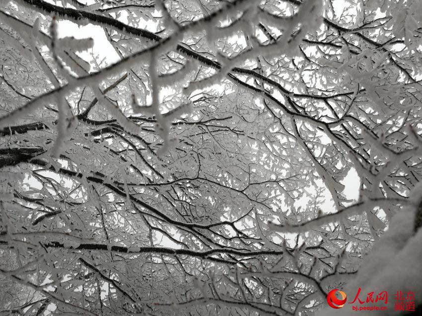 雪后的怀柔箭扣长城，云雾缭绕，形成了漫山遍野的树挂，仿若童话世界。人民网尹星云 摄