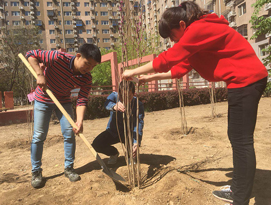 处处有景四季常青丰台东铁匠营街道携手在职党员打造精品花园社区