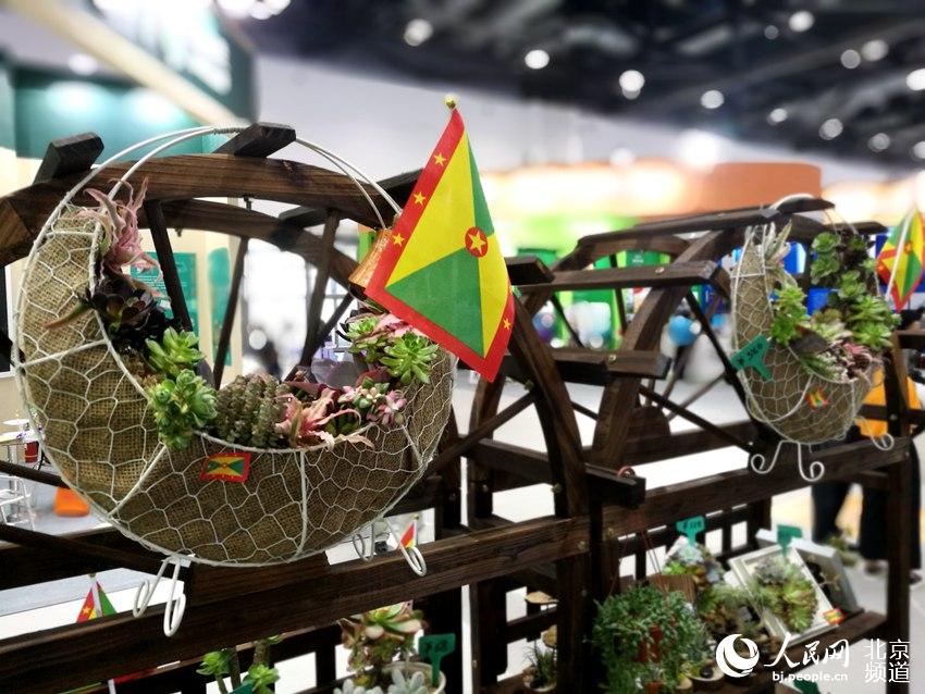 格林纳达驻华大使馆为京交会带来生机绿色。