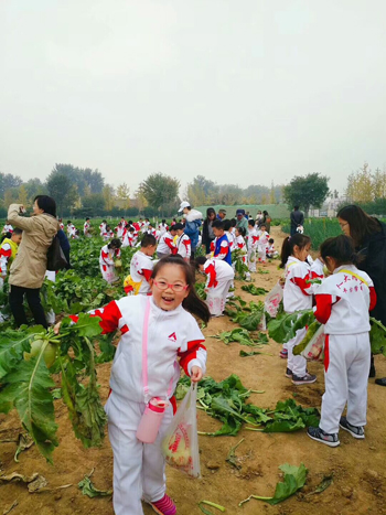 人大附中丰台学校参加农耕文化体验活动