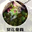 棠花童真此處為北京園第三景“棠花童真”，其名稱取自“棠花胡同”。北京古為薊地，據傳說就是這裡多薊草而得名，因此我們北京從誕生之初就和自然花草緊密相關。
