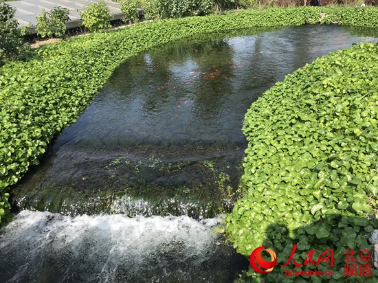 亚洲最大地下再生水厂|——槐房再生水：年产再生水量约100个昆明湖