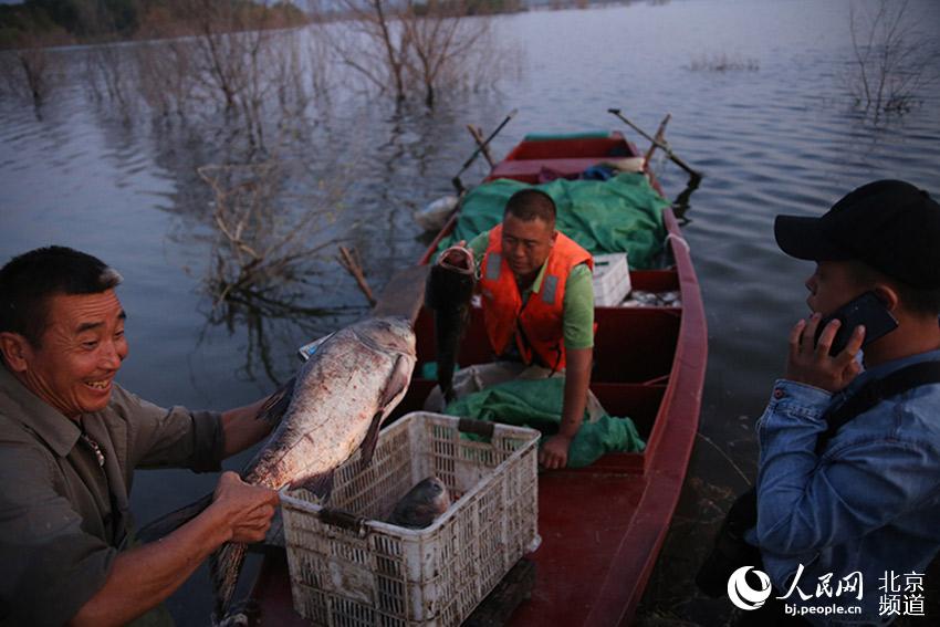密云水库最大的鱼有多少斤 LOCAL201909251139000076005679603.jpg