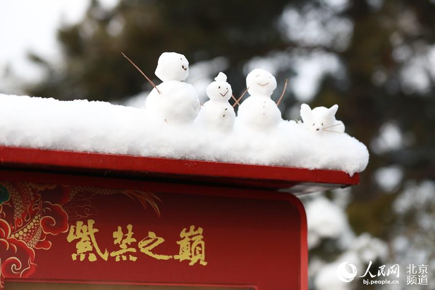 組圖：2020年初雪至 北京景山公園變雪后打卡地