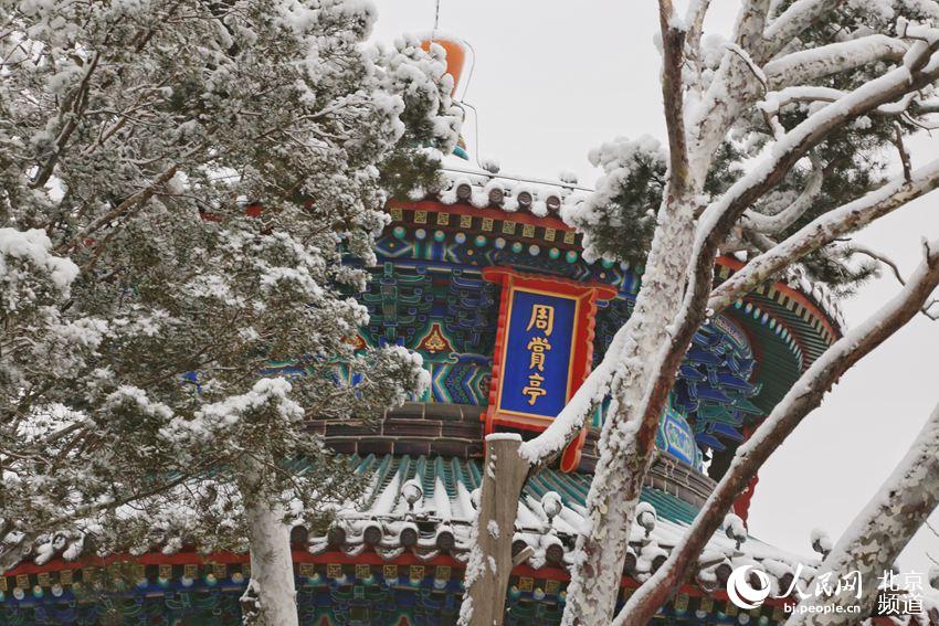 組圖：2020年初雪至 北京景山公園變雪后打卡地【4】