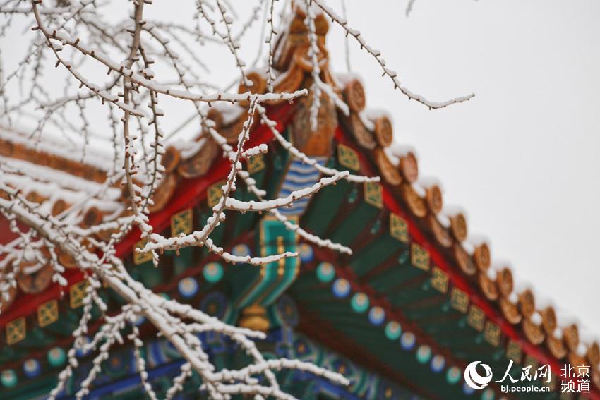組圖：2020年初雪至 北京景山公園變雪后打卡地【3】