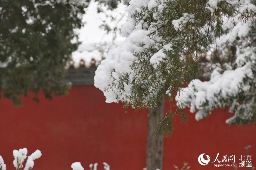 組圖：2020年初雪至 北京景山公園變雪后打卡地【6】