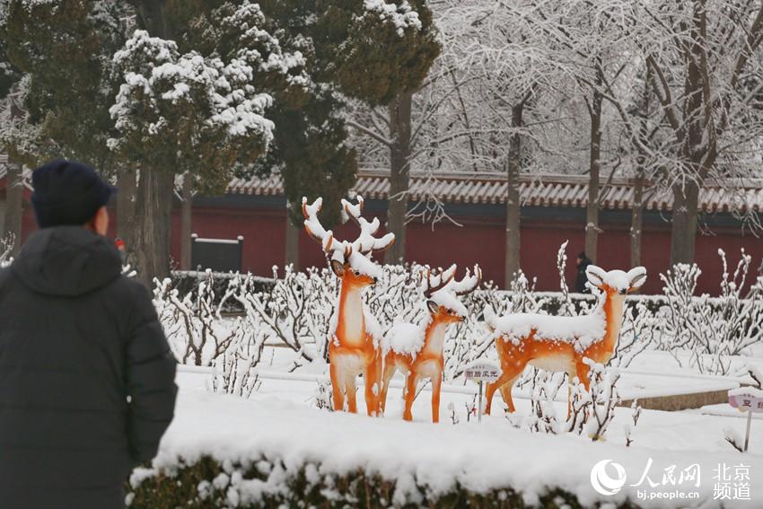 組圖：2020年初雪至 北京景山公園變雪后打卡地【7】