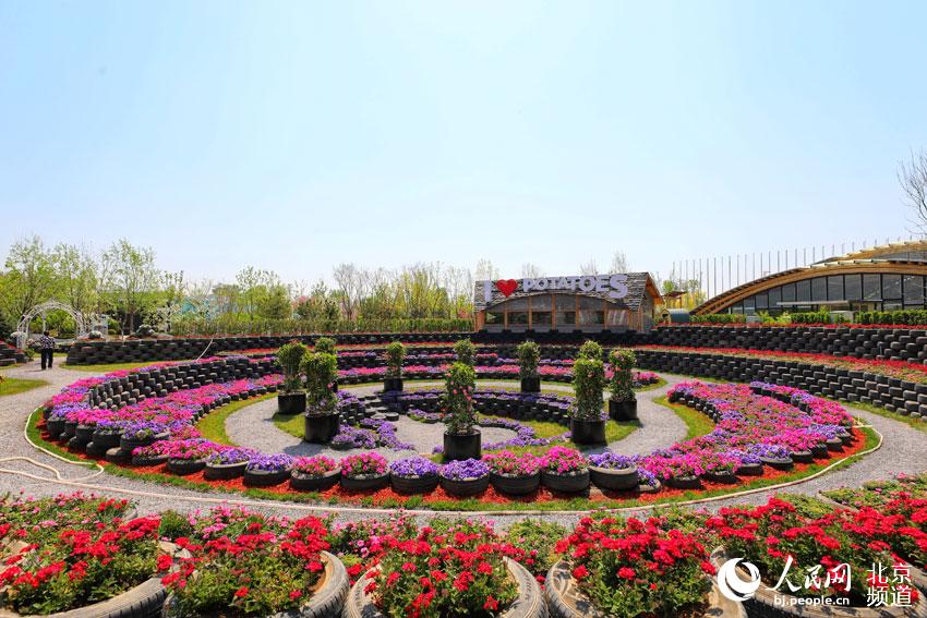 北京世園公園春意盎然。人民網尹星雲 攝