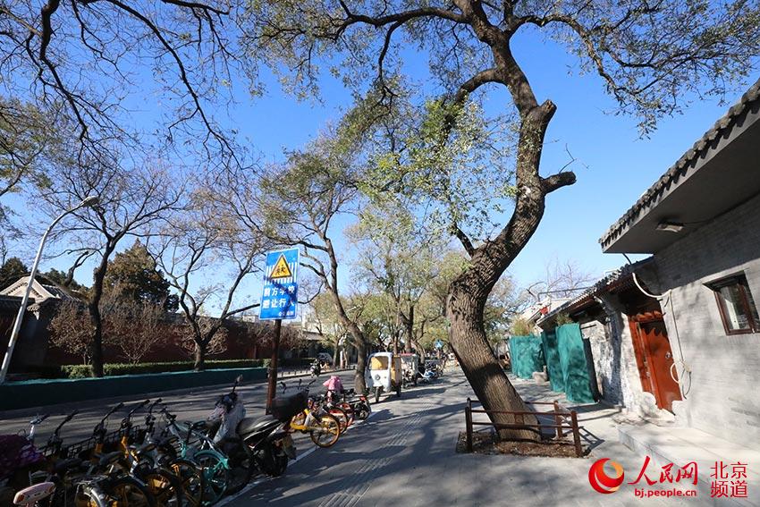 北京鼓樓西大街東段舊貌換新顏，京味兒更濃。人民網尹星雲 攝