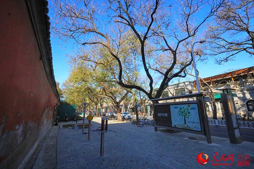 ���գ����Ž�800����ʷ�ı�����¥����ֶ��ξ������ɡ���������º���ʽ���ࡣ������������ ��