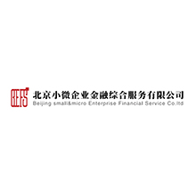 北京小微企業金融綜合服務有限公司投票