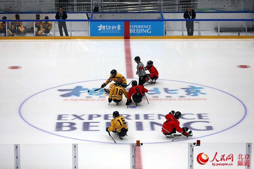 冬殘奧會冰球測試活動開始，今天，國家體育館舉辦殘奧冰球比賽。人民網 尹星雲攝