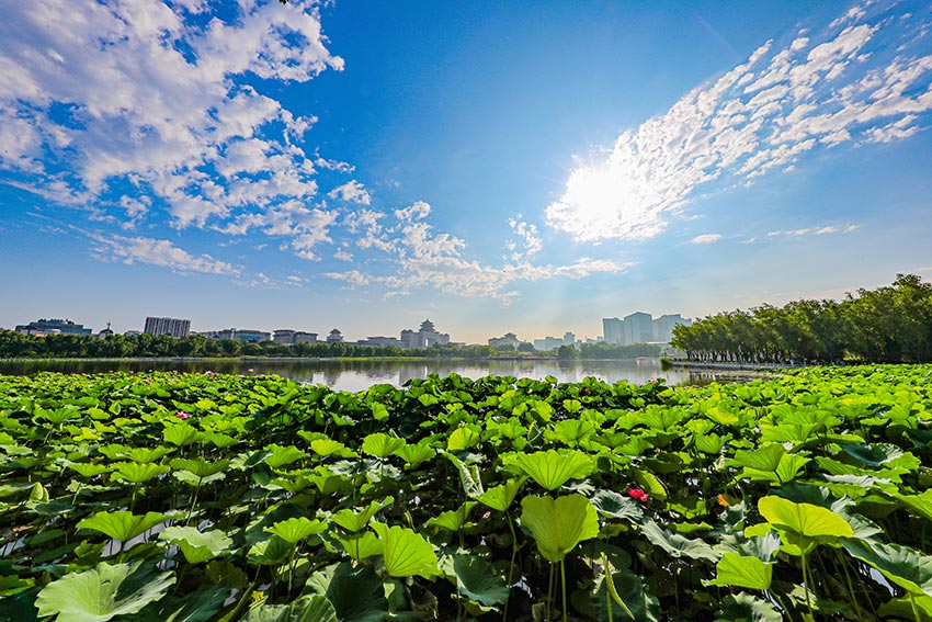 �ɻ�����200���ֺɻ�ͬ�����š�ԭ������