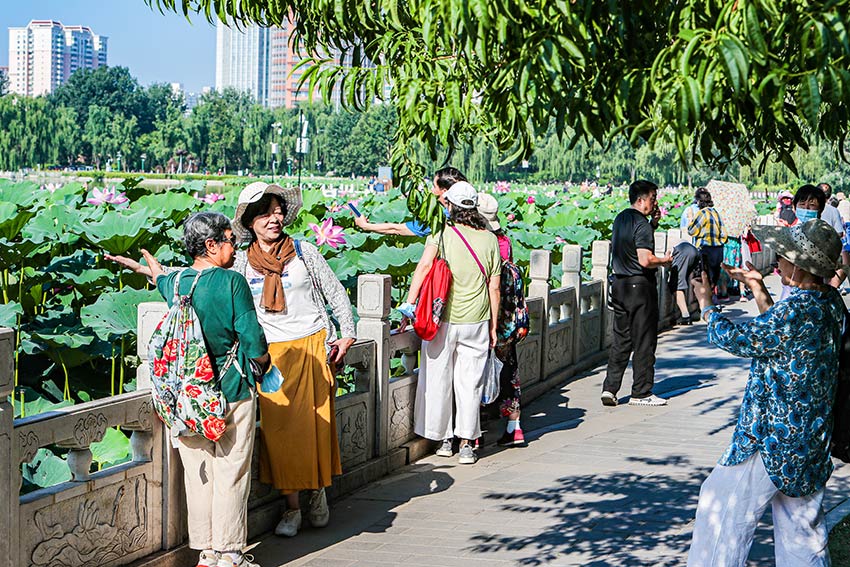 �ɻ�����200���ֺɻ�ͬ�����š�ԭ������