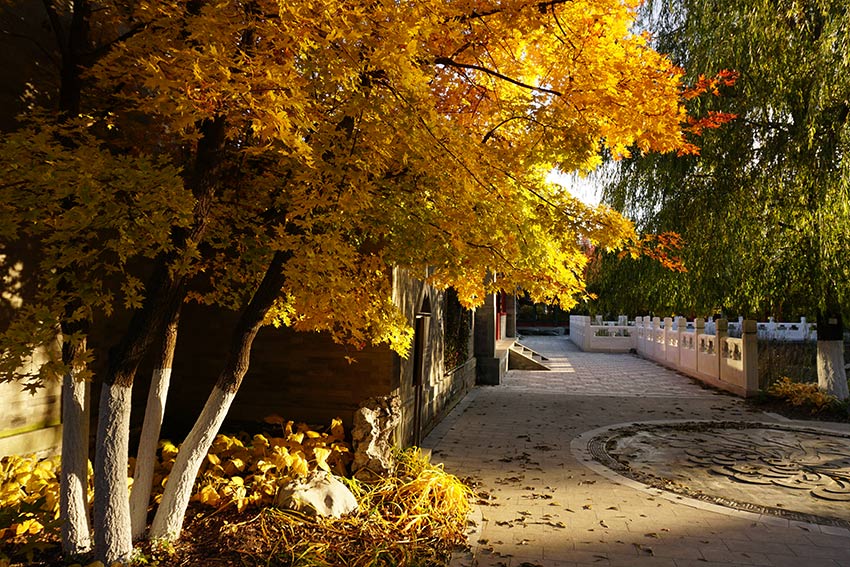 北京世园公园秋色渐浓。（北京世园公园供图）