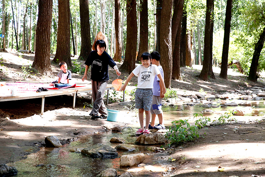 游人在金海湖小溪谷營地感受假日時光。馬平川攝