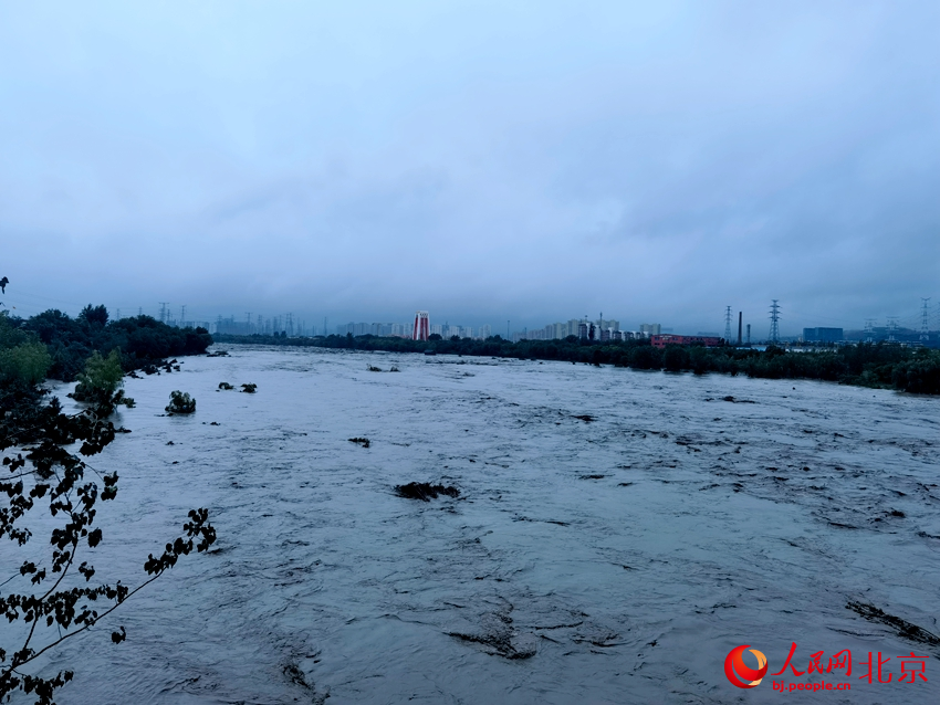 永定河水流湍急，河水已漫過河堤。人民網記者 李楠楠攝