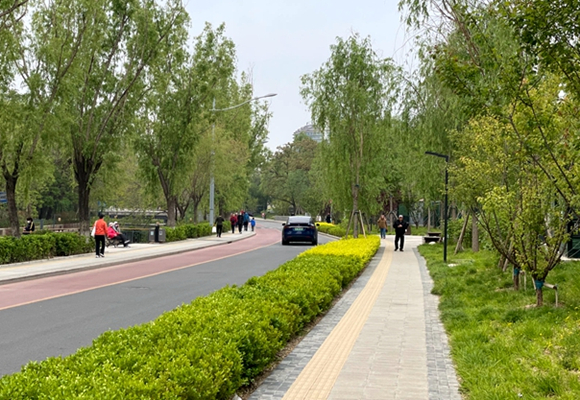 北京中心城慢行出行比例达49%   创近十年新高