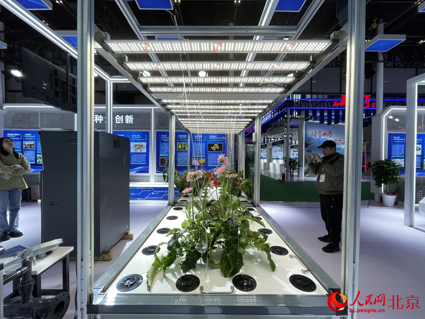 多层植物工厂栽培系统在大会上进行展示。人民网记者 尹星云摄
