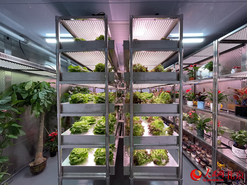步入式植物培养箱亮相大会。人民网记者 尹星云摄