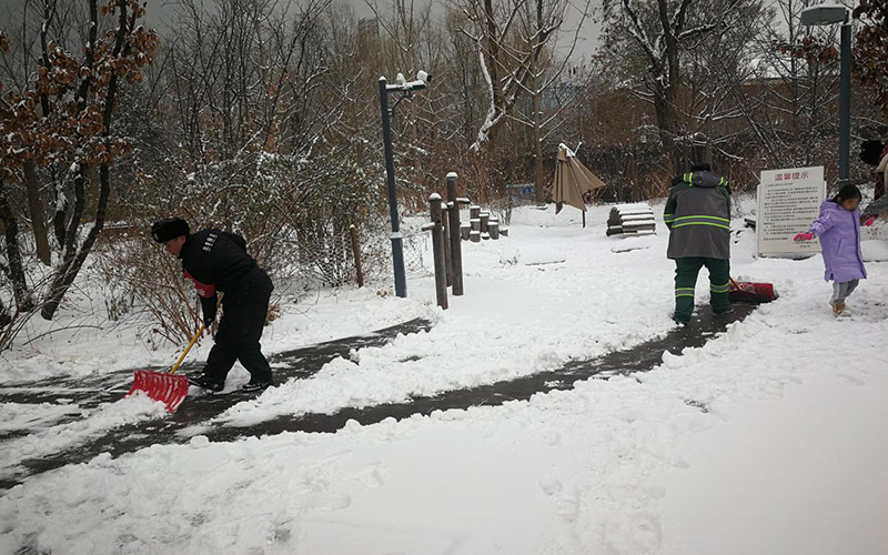 應對強降雪天氣 北京西城“綠色衛士”逆風雪而行