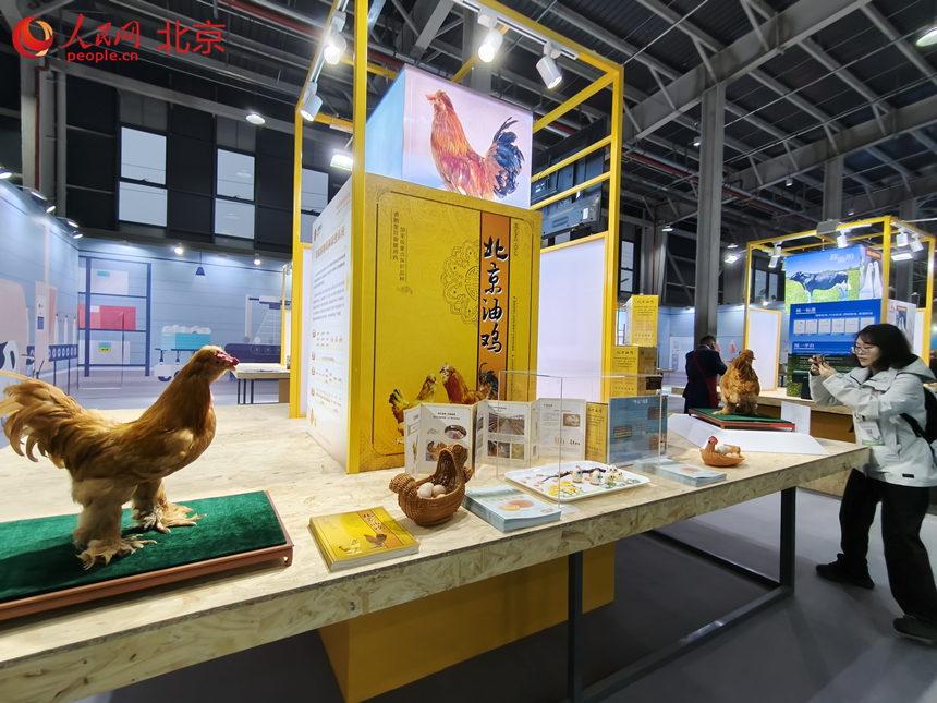 北京种业大会主会场种业成果交流体验展区。人民网记者 李博摄