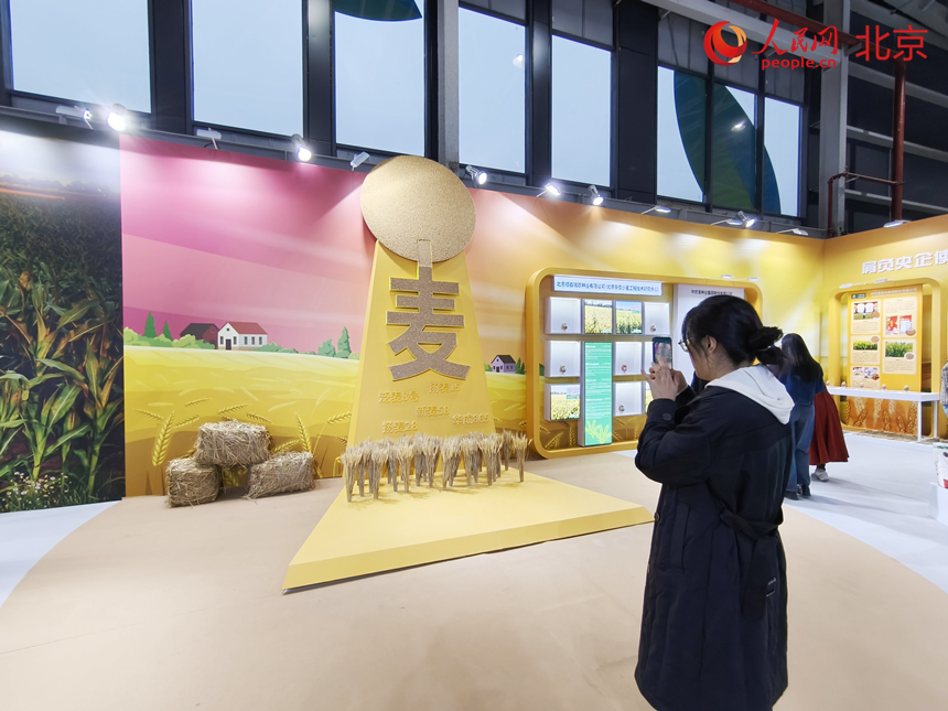 北京种业大会主会场种业成果交流体验展区。人民网记者 李博摄