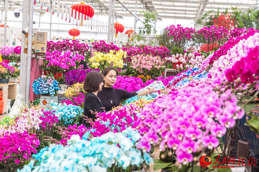 6686体育下载为首都花园城市添“花样”(图1)