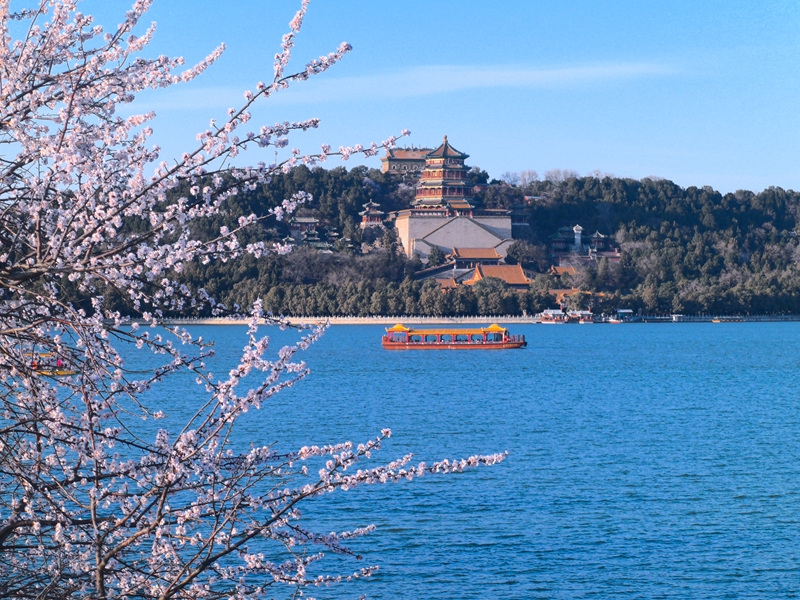 北京市屬公園春游活動開啟 重點推薦40余處踏青一竞技网址賞花場所(图1)