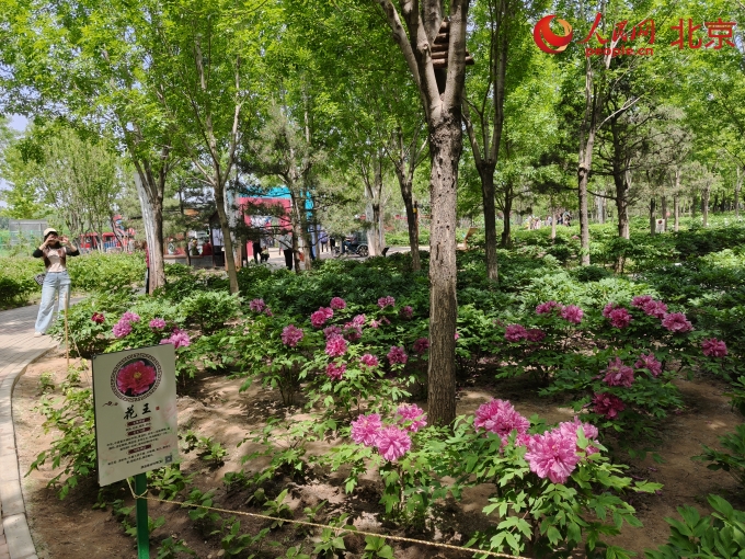 IMG20250504114814_副本