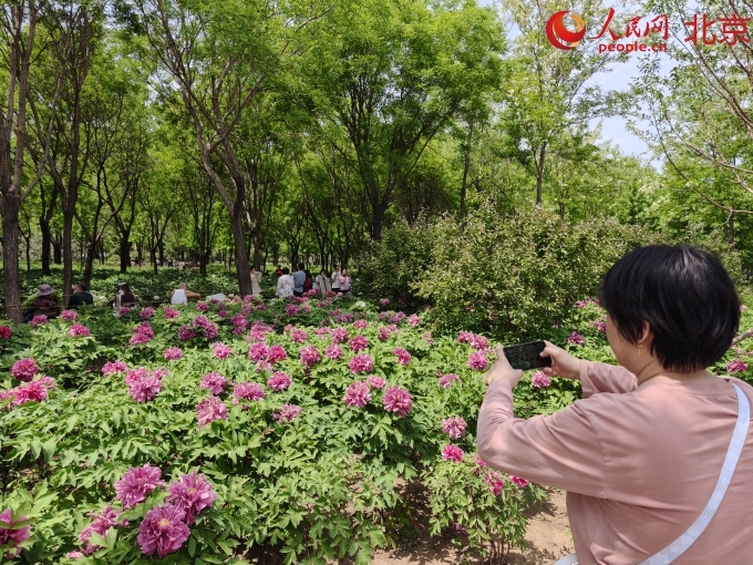 IMG20250504114533_副本