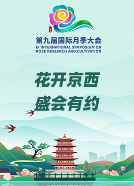 访谈：花开京西 盛会有约