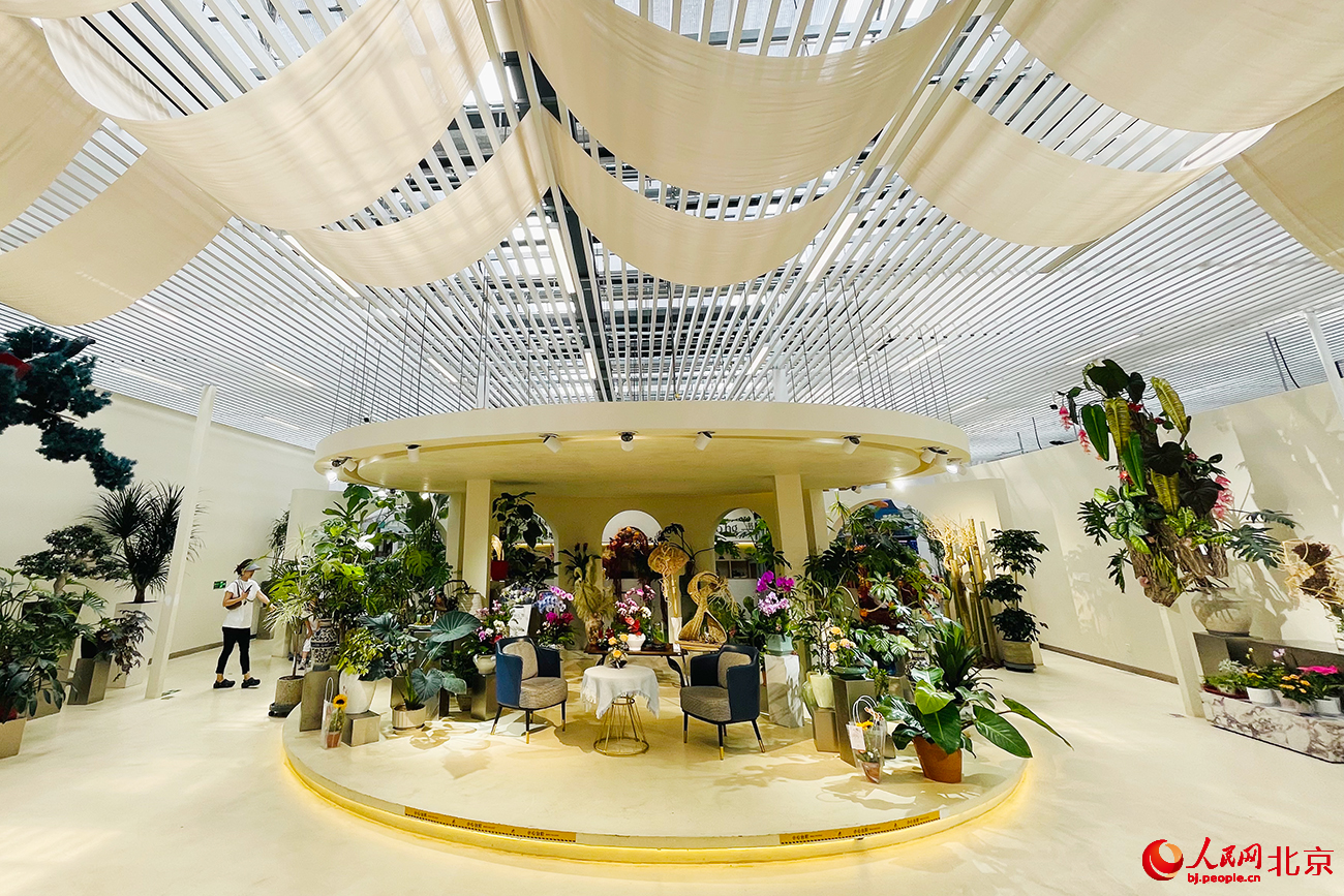 北京花卉交易中心。人民網記者 尹星雲攝