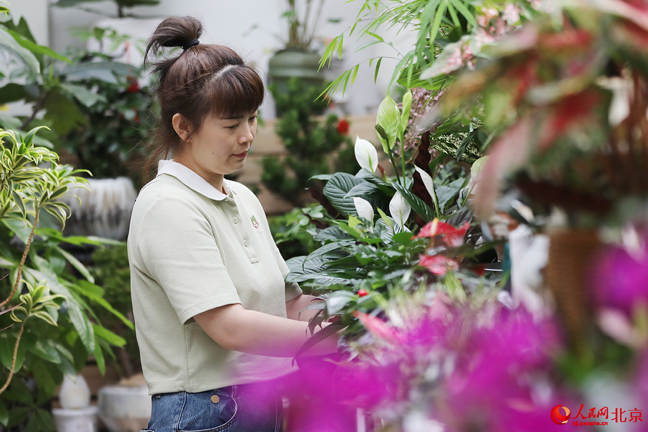 花商擺放鮮花。人民網記者 尹星雲攝
