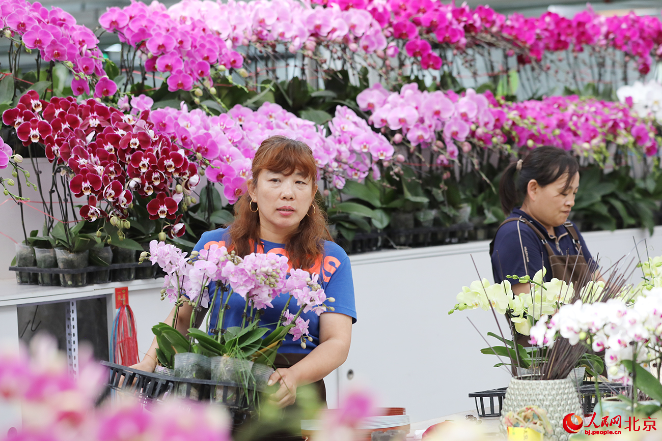 花商摆放鲜花。人民网记者 尹星云摄