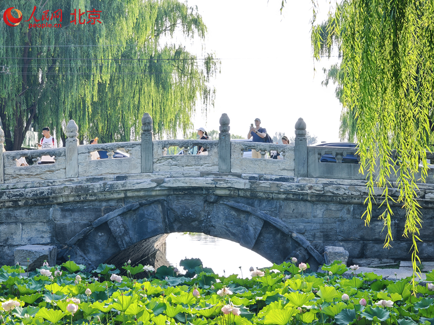 “北京中轴线”成游客热门打卡地。人民网记者 李博摄