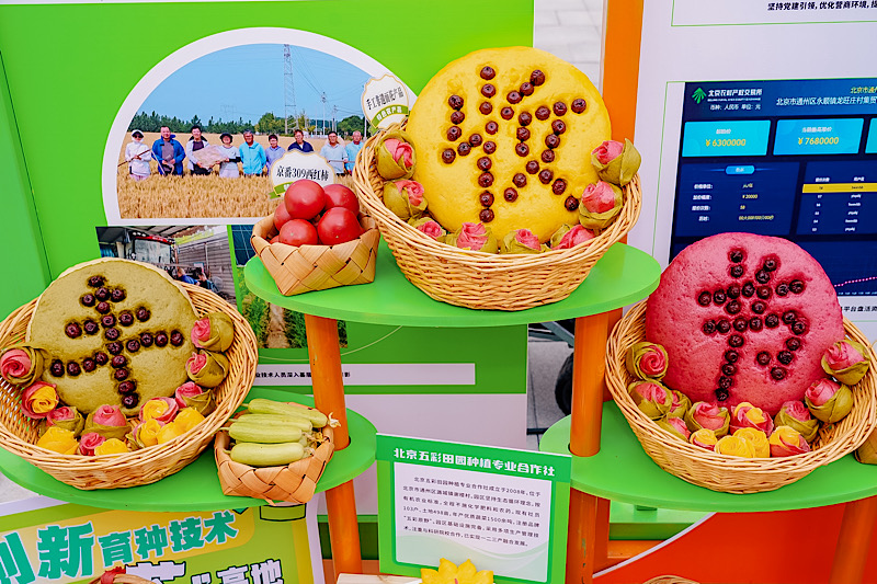 北京：丰收节、艺术节“双节”联动 共绘丰收新画卷