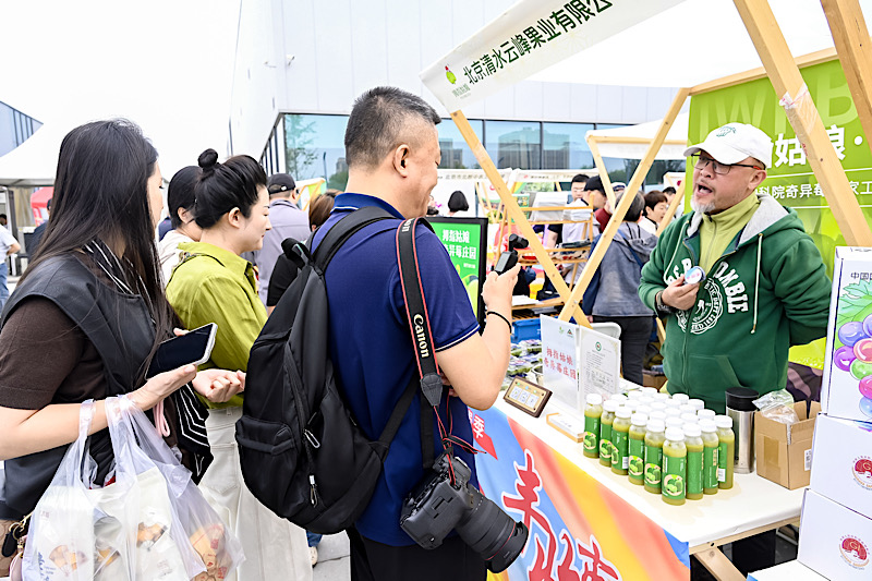 北京：丰收节、艺术节“双节”联动 共绘丰收新画卷